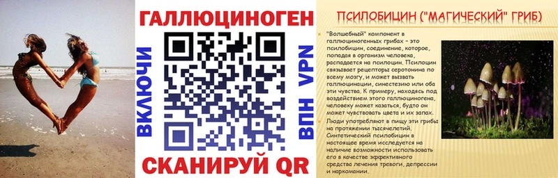 hydra сайт Кяхта Псилоцибиновые грибы Psilocybine cubensis